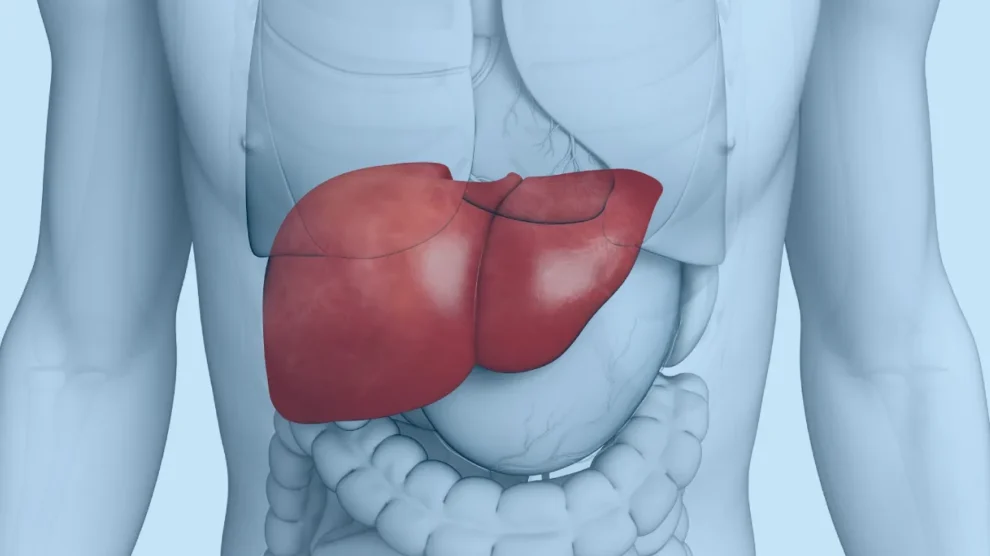 Esteatose hepática: veja como você pode controlar essa condição com uma dieta simples