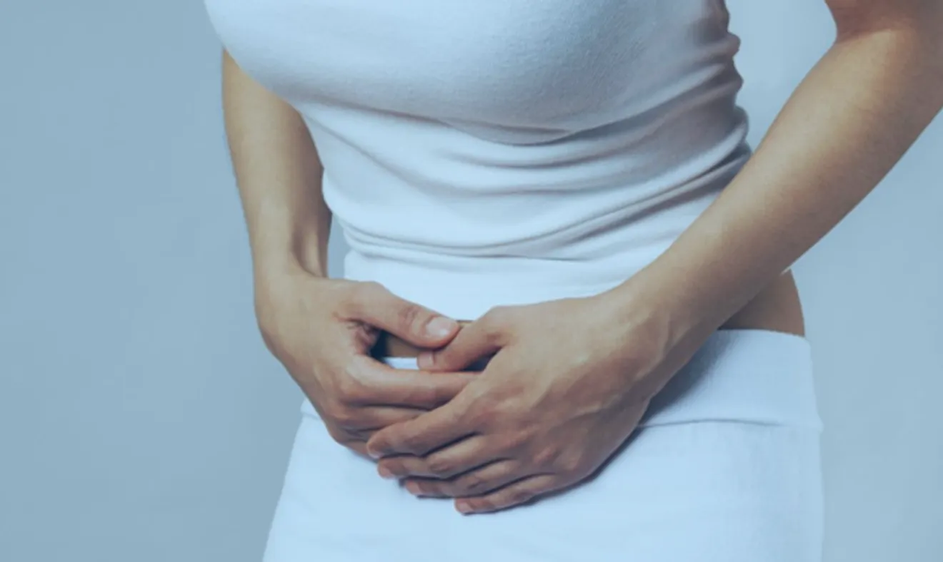 Aparelho geniturinário: doenças, exames e tratamentos mais importantes