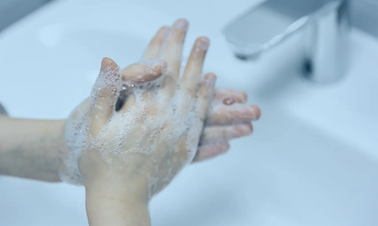 Higiene básica – regras de limpeza Ideais para o seu bem-estar