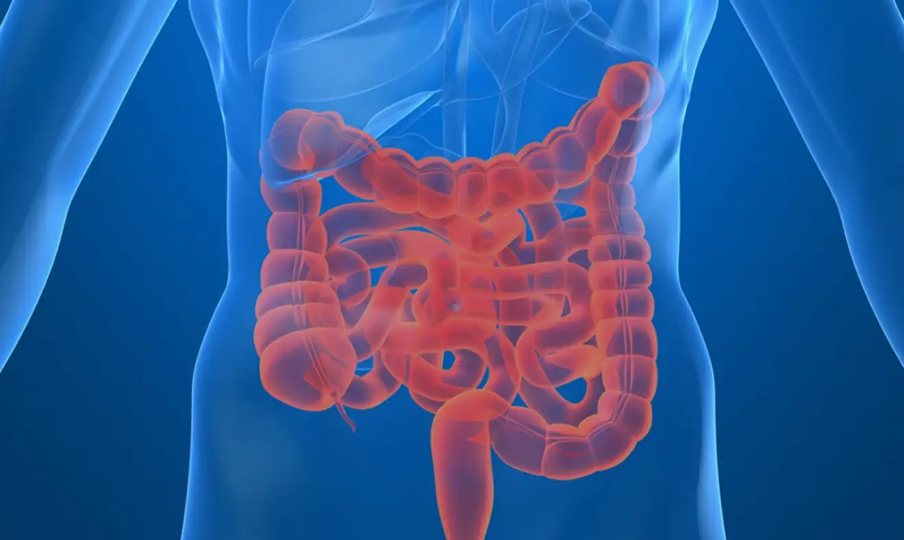 Obstrução intestinal: quando o intestino para, o corpo inteiro sente