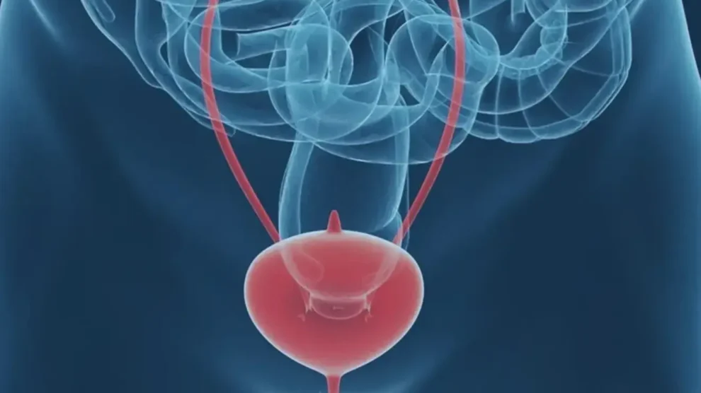 5 Dicas para uma bexiga saudável