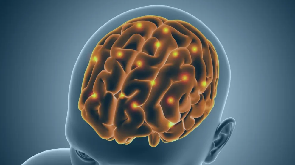 Cérebro: este ilustre desconhecido