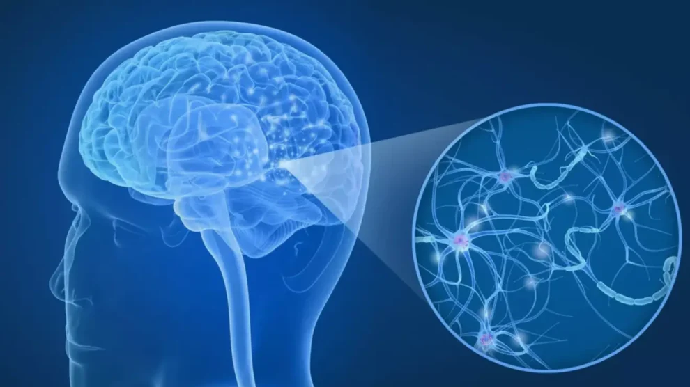 Esclerose Múltipla: como reconhecer os primeiros sintomas