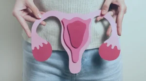 Guia completo sobre órgãos do sistema reprodutor feminino