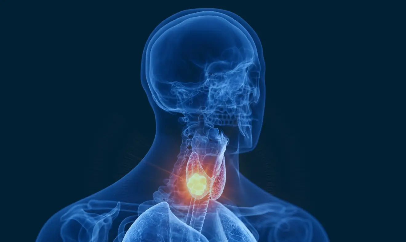 Doenças da tireoide: conheça os sintomas, causas e tratamentos
