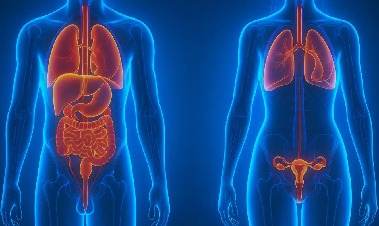 Exames importantes sobre o aparelho genito-urinário