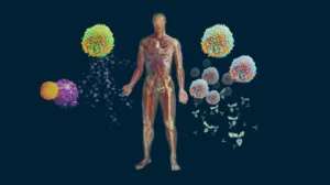 Como atua o sistema imunológico