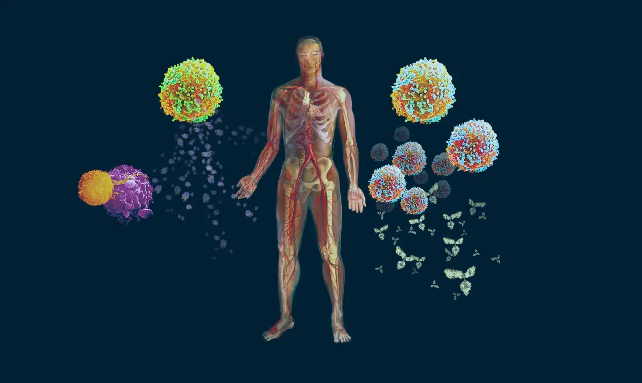 Como atua o sistema imunológico