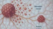 Compreenda o processo de metástase: como o câncer se espalha pelo corpo