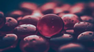 Distúrbios de Coagulação: entendendo as complexidades e opções de tratamento