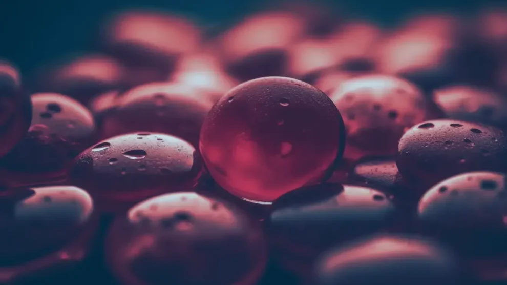 Distúrbios de Coagulação: entendendo as complexidades e opções de tratamento