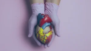 Principais exames do coração: dicas e dietas para manter seu coração saudável