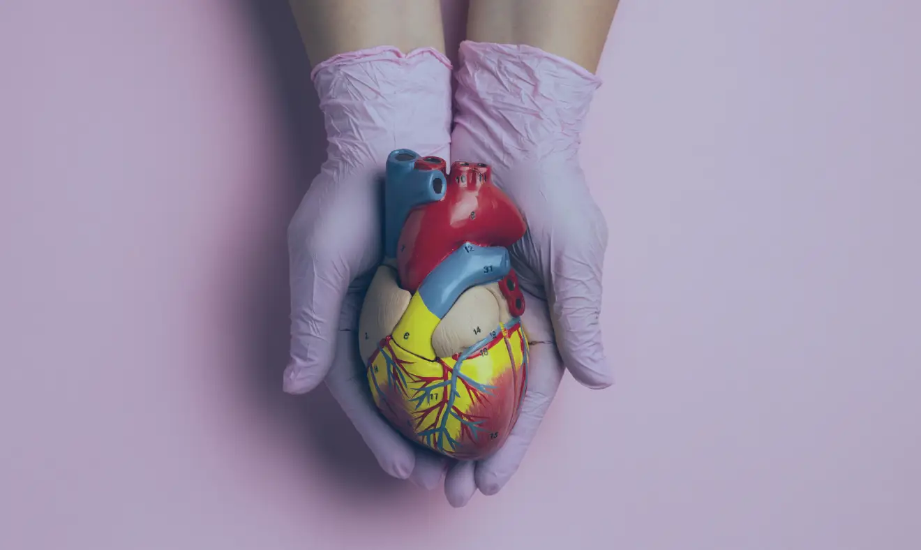 Principais exames do coração: dicas e dietas para manter seu coração saudável